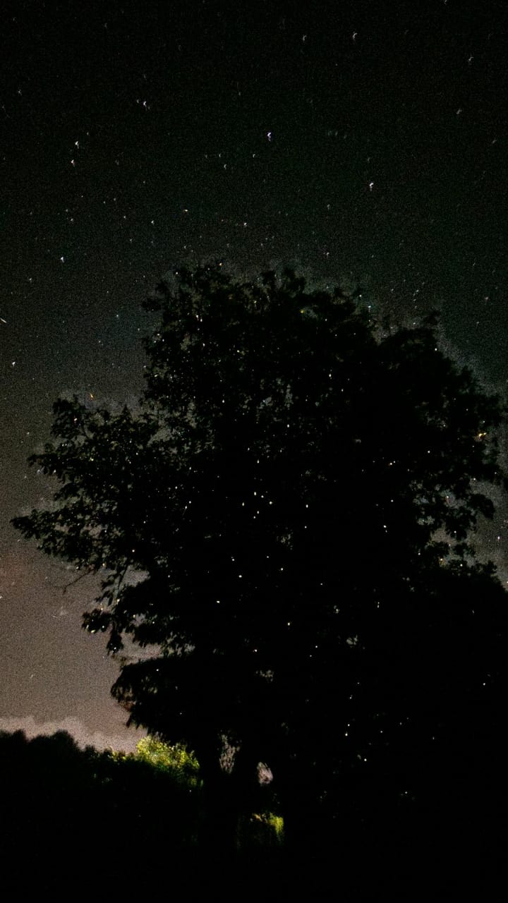 Fireflies Special Bhandardara  Camping and Trek to Sandhan Valley