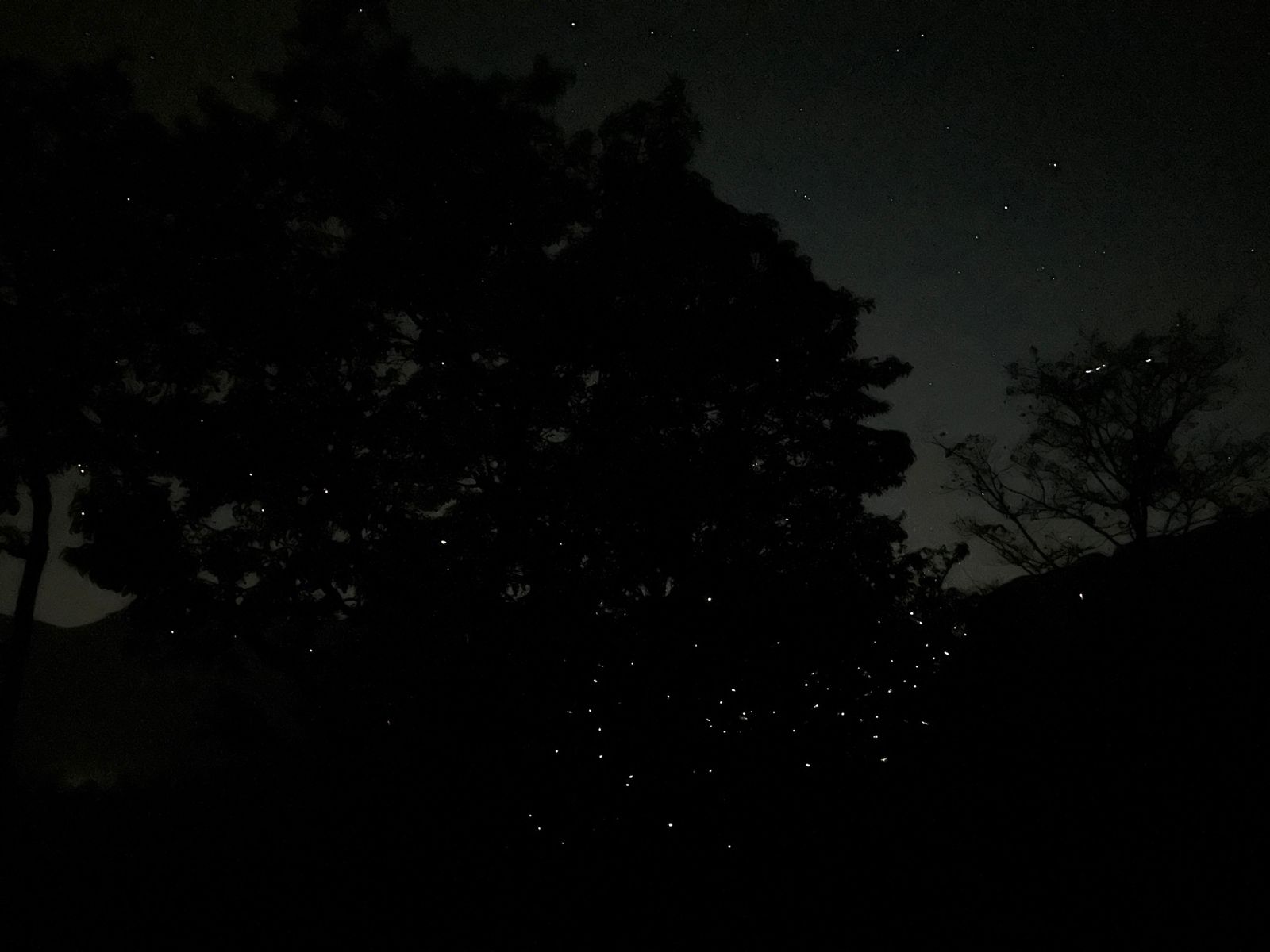 Fireflies Special Bhandardara  Camping and Trek to Sandhan Valley